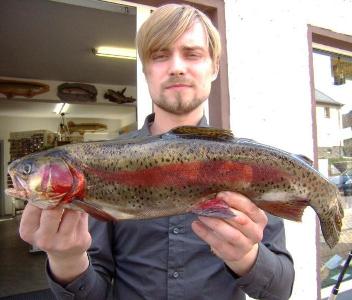 Enrico Nicklas  -  Regenbogenforelle 
 52cm   1800gr. 
 auf Spinner 
 5.4.2010 
   